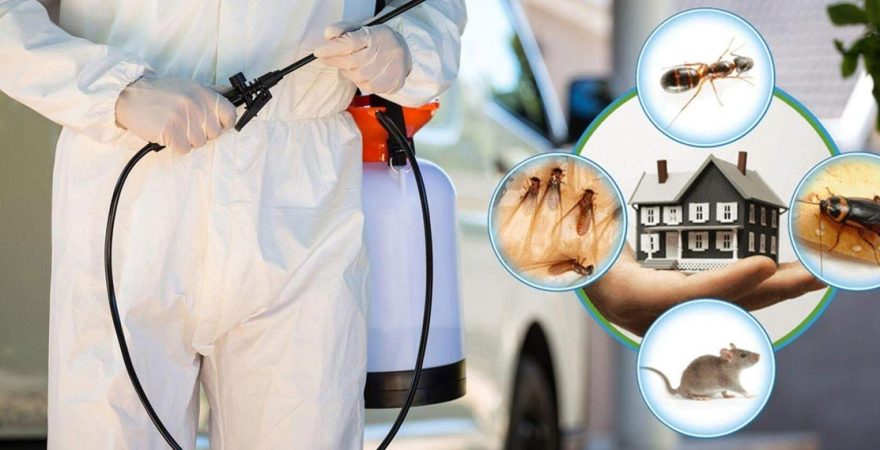 Gökçebey Böcek İlaçlama