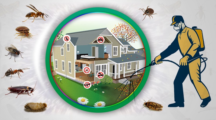 Gökçebey Böcek İlaçlama