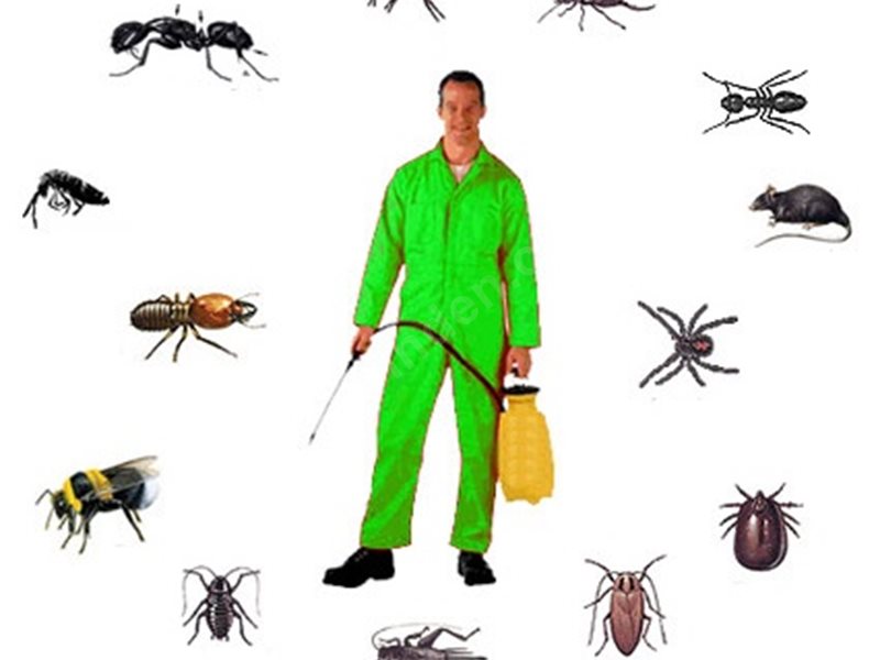 Gökçebey Böcek İlaçlama